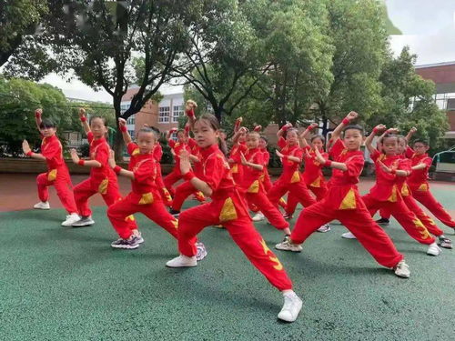 展運動之城風貌丨北侖區體育總會會員單位風采展①